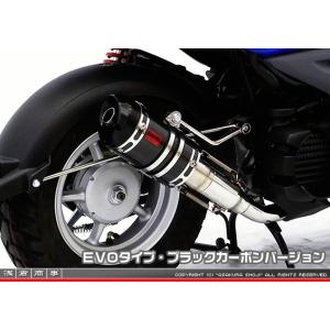 スマートディオ（Dio）・スマートディオZ4（Dio） ZZRタイプマフラー