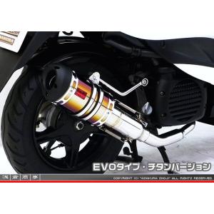 チェーンカバー K＆H（ケイアンドエイチ） W800（19年） : バイク