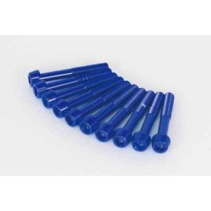 モンキー CFポッシュ ホンダ純正タイプ クランクケースカバーネジ