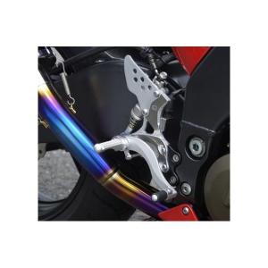 ディップスマシン ☆マッククレーン☆ZX-10☆バックステップ☆ : ワンポイント