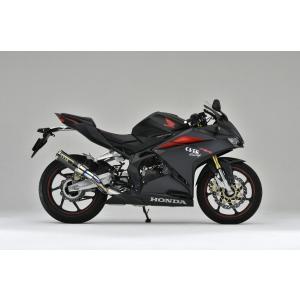 CBR250RR MC51 LCI ショートカーボンスリップオンマフラー CBR250RR(MC51) NEW SLIP-ON発売 ｜ TSR（Technical Sports Racing