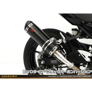 Ninja400（ニンジャ400）18年 R-EVO2 スリップオンマフラー ヒート