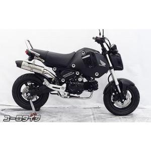 武川 テーパーコーンマフラー ホンダ グロム タケガワ grom jc92 61sxDEOS58L.jpg_BO30,255,255,