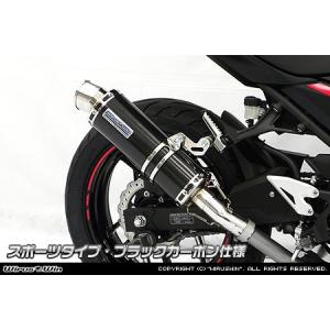 WR'S（ダブルアールズ） バイク マフラー 2018-2022 ・2023- Ninja400