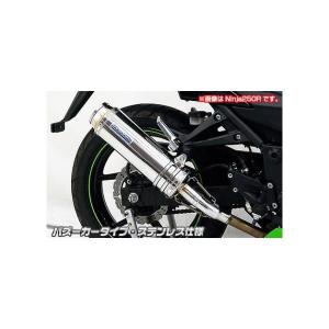 Ninja Realize ニンジャ250SL バイクマフラー JBK-BX250A 2015年〜2016