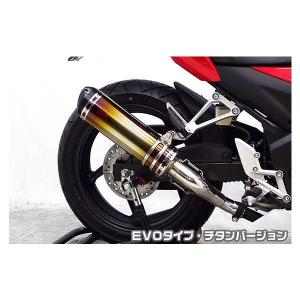 REALIZE（リアライズ） Realize CBR250R バイクマフラー MC41 前期型