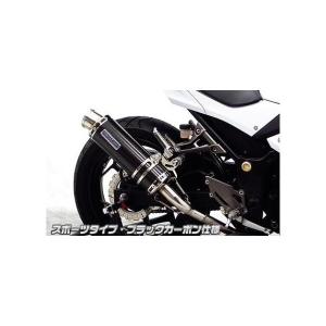 AKRAPOVIC スリップオンマフラー　NINJA•Z250/400 AKRAPOVIC (アクラポビッチ) スリップオンライン カーボン Ninja