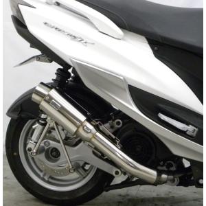 レーシングマフラーZ ウイルズウィン（WirusWin） シグナスX