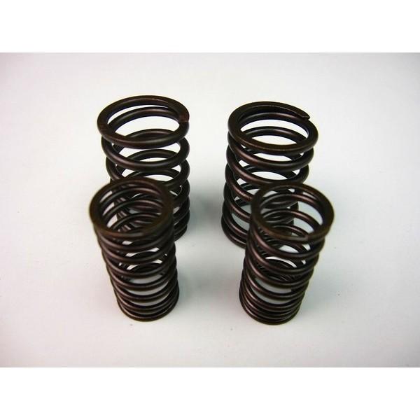 Zタイプシリンダーヘッドバルブスプリング タイプ1 MINIMOTO（ミニモト）