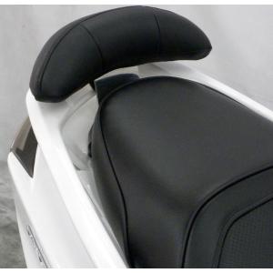 SHAD製リアボックス付きタンデムバー ウイルズウィン（WirusWin