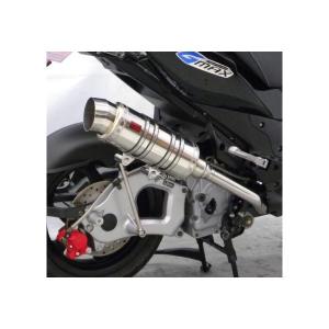 ロッドショートマフラー ウイルズウィン（WirusWin）APE（エイプ）100