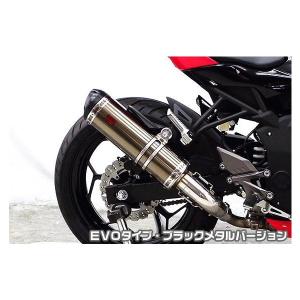 Ninja250SL（ニンジャ250SL）JBK-BX250A TTRタイプスリップオンマフラー EVOタイプ ブラックメタルバージョン ASAKURA（浅倉商事）｜hamashoparts