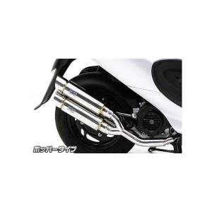 SYM　X'pro 風50 用WirusWin　ハイパフォーマンスマフラー ハイパフォーマンスマフラー ウイルズウィン（WirusWin） SYM X