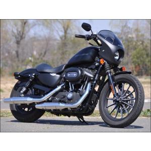 ティーラ スポーツヘッドカウル クリアスクリーン 単色ブラックデニム CHIC DESIGN（シック...