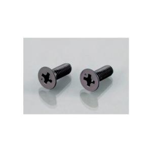 マスターシリンダーキャップビス（十字穴付 / 皿小ネジ） M4/P0.7 12mm（ブラック） KITACO（キタコ）｜バイク メンテ館