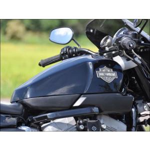 XL スポーツスター Upsweep 2-1 フルエキゾーストマフラー PCX仕様