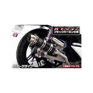 アドレス110（ADDRESS）EBJ-CE47A SHタイプマフラー レーシングタイプ