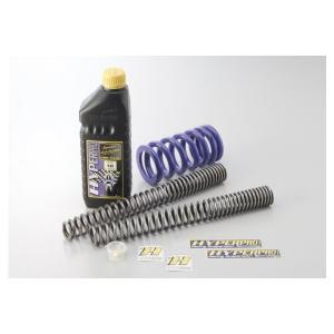 SV650（99〜02年） コンビキット（フロント＆リアスプリング）