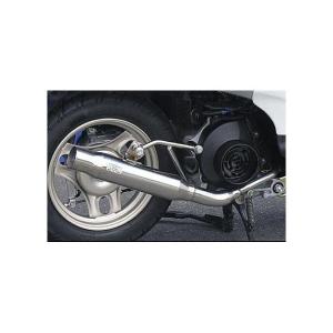 WirusWin（ウイルズウィン） ロッドサイレンサーマフラー ディオ(4