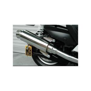 テイストアップマフラー ウイルズウィン（WirusWin）APE（エイプ）100