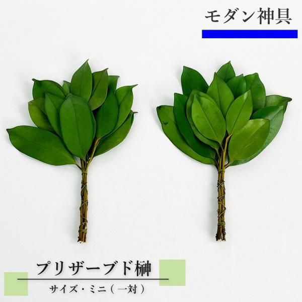 プリザ榊 ミニ（一対） 【モダン神棚】 プリザ 榊 2本 1対 プリザーブドフラワー さかき 神棚 ...