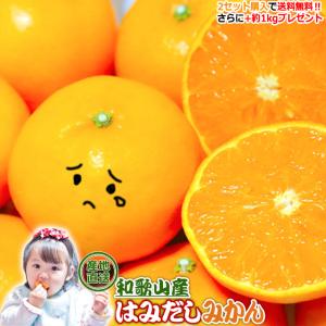 清見 オレンジ みかん 訳あり 和歌山 箱買い 2kg  2セット購入で送料無料+約1kgおまけ ポイント消化 はみだしみかん