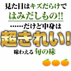 清見 オレンジ みかん 訳あり 和歌山 箱買い...の詳細画像1