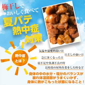 梅干し 訳あり ＼2個購入で5%OFFクーポン...の詳細画像2