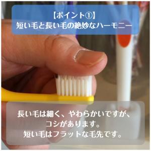 歯ブラシ テペ TePe スプリームコンパクト...の詳細画像3