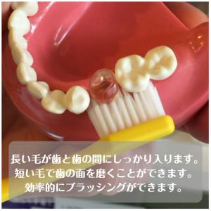 歯ブラシ テペ TePe スプリームコンパクト...の詳細画像5