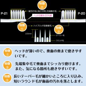 ジーシー GC ルシェロ P-21 ピセラ 歯...の詳細画像2