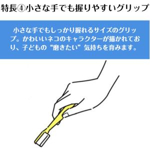 歯ブラシ タフト17 オーラルケア 25本 プ...の詳細画像5