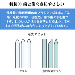 歯ブラシ タフト17 オーラルケア 10本 色...の詳細画像3