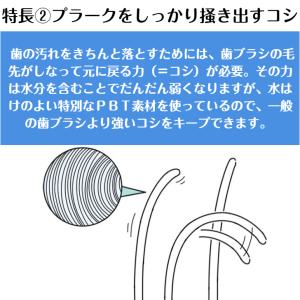 歯ブラシ タフト17 オーラルケア 10本 色...の詳細画像4