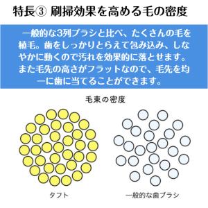 歯ブラシ タフト17 オーラルケア 10本 色...の詳細画像5