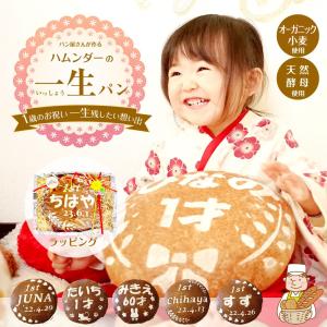 一升パン 一生パン 一升餅 1才 お祝い 誕生日の商品画像