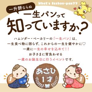 一升パン 一生パン 一升餅 1才 お祝い 誕生日の詳細画像2