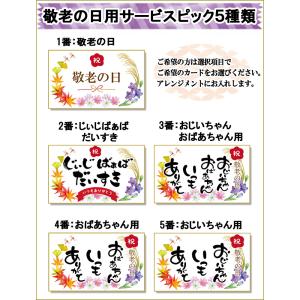 最短で翌日配達 14時〆 送料無料 一部地域を...の詳細画像3
