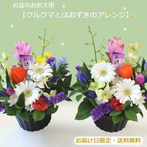送料無料 一部地域を除く お盆の花 生花 お供え 法事  ペット  彼岸 お盆 １対 クルクマとほおずきのアレンジSサイズ お盆のお届けは8/12・8/13でご指定ください