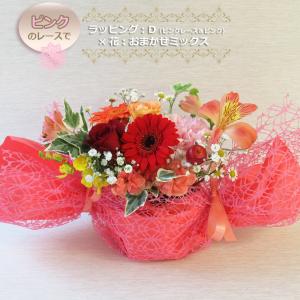 最短で翌日配達 14時〆 送料無料 一部地域を...の詳細画像5