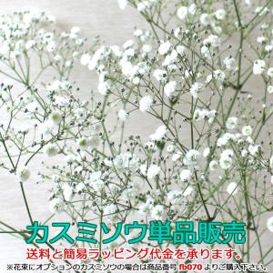 生花 単品販売カスミソウ 価格は1本分です 必要本数をご購入下さい 送料とラッピング代金を承ります お祝い ギフト