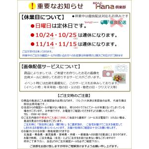 生花 単品販売カスミソウ 価格は1本分です 必...の詳細画像2