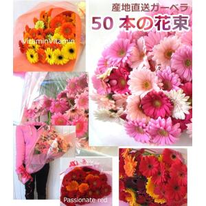 送料無料 一部地域を除く 生花 花束 ガーベラ ...の商品画像
