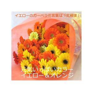 送料無料 一部地域を除く 生花 花束 ガーベラ...の詳細画像5