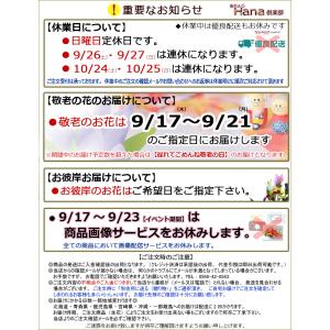 オプション 【バラの花束】に好きな本数で!Mサ...の詳細画像2