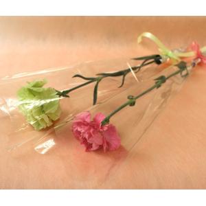 生花 贈呈花 カーネーション 1輪 価格は1本...の詳細画像1