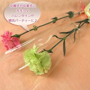 生花 贈呈花 カーネーション 1輪 価格は1本...の詳細画像2