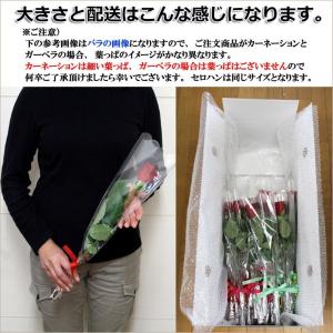 生花 贈呈花 カーネーション 1輪 価格は1本...の詳細画像4