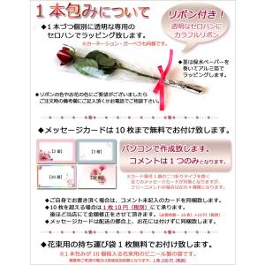 生花 贈呈花 カーネーション 1輪 価格は1本...の詳細画像5