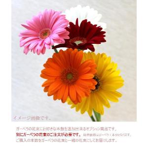 生花　ガーベラの花束に追加用  ※必要な本数をご購入下さい　花束、切花　誕生日　お祝い
